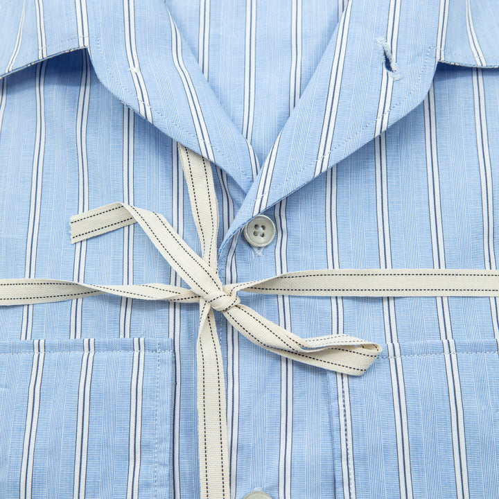Blue Striped Shirt